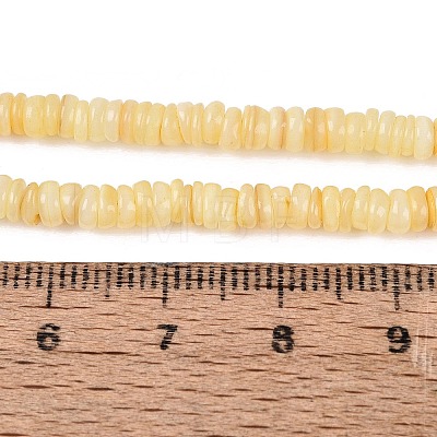 Natural Freshwater Shell Beads Strands SHEL-Q028-01B-1
