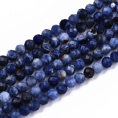 Natural Sodalite Beads Strands G-S362-070-1