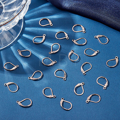 50Pcs 304 Stainless Steel Leverback Earring Findings STAS-BBC0001-44RG-1