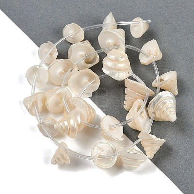 Natural Shell Beads Strands SHEL-K009-11-1