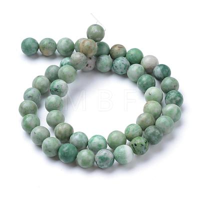 Natural Green Spot Jasper Beads Strands G-T055-8mm-16-1