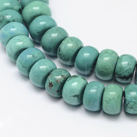 Natural Magnesite Beads Strands TURQ-P027-12-1