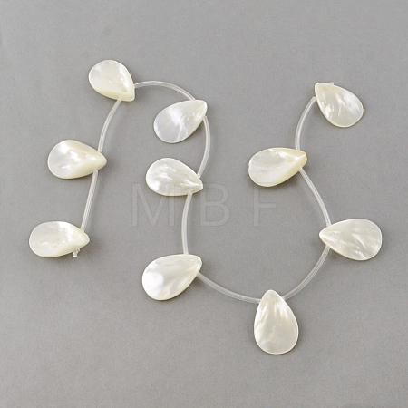 Natural Sea Shell Beads Strands SSHEL-Q296-01-1