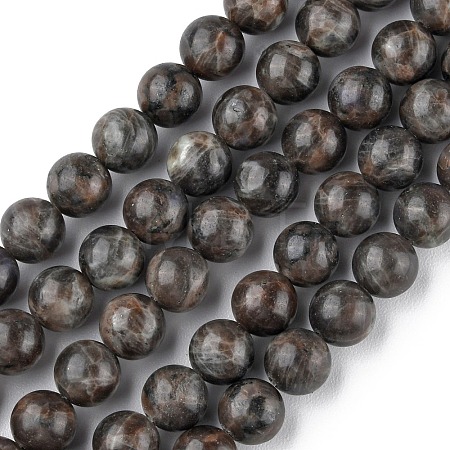 Natural Labradorite Beads Strands G-G0003-C03-1
