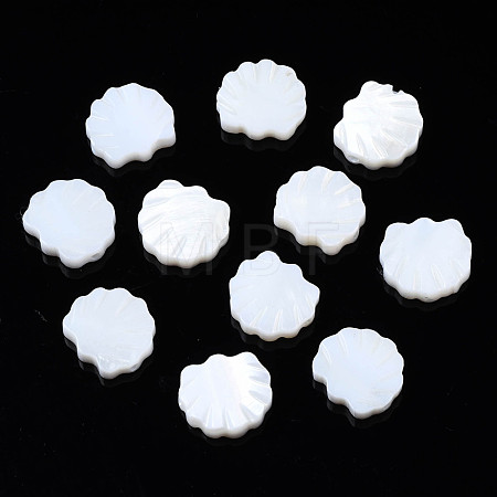 Natural Freshwater Shell Beads SHEL-S278-034-1