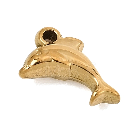 304 Stainless Steel Charms SA-CBAA487-29G-1