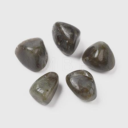 Natural Labradorite Beads G-K302-A09-1