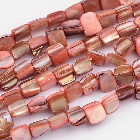 Natural Shell Beads Strands PBB049Y-1