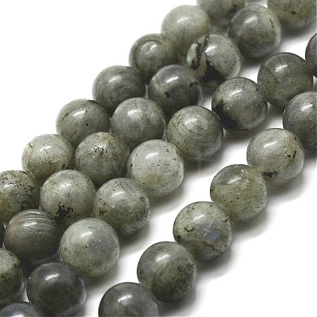 Natural Labradorite Bead Strands G-P256-01-8mm-1