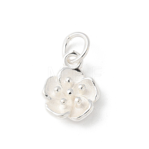 S925 Sterling Silver Charm STER-H115-11B-S-1