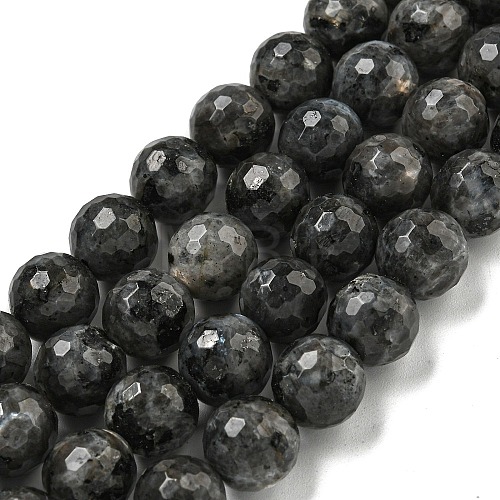 Natural Larvikite Beads Strands G-E571-A09-03-1