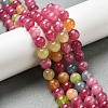 Dyed Natural Malaysia Jade Beads Strands G-G021-02B-16-4