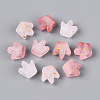 Frosted Transparent Acrylic Beads FACR-T009-01H-2