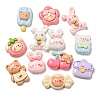 Opaque Resin Decoden Cabochons RESI-F052-B12-1