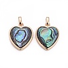 Natural Abalone Shell/Paua ShellCharms BSHE-F011-04B-G-1