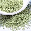 MIYUKI Delica Beads SEED-MY11-DB2123-1