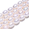 Natural Cultured Freshwater Pearl Beads Strands PEAR-N012-06P-4