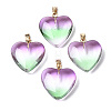 Two Tone Spray Painted Glass Pendants X-GLAA-N035-016-C01-1
