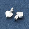 925 Sterling Silver Charms STER-H119-05C-S-2