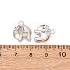 Alloy Charms AL-CBA3036-05P-3