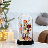 Acrylic Dome Cover DIY-WH0899-949A-4