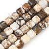 Natural Petrified Wood Beads Strands G-C267-A06-2