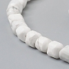 Natural Howlite Beads Strands G-I270-09-3