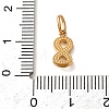304 Stainless Steel Micro Pave Clear Cubic Zirconia Charms CU-CBA703A-08G-3