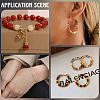 DIY Findings Kits DIY-PA0001-70-5