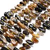 Natural Black African Opal  Beads Strands G-Z124-B01-01-2