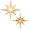 2Pcs Star Alloy Lapel Pins for Backpack Clothes JEWB-PH0001-74KCG-1