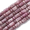 Natural Lepidolite/Purple Mica Stone Beads Strands G-H343-B01-01-2