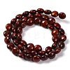 Natural Red Rainbow Jasper Beads Strands G-T047-A15-01-3