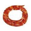 Natural Red Agate Beads Strands G-M438-A10-02-5