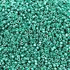 MIYUKI Delica Beads X-SEED-J020-DB2505-2