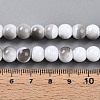 Baking Paint Glass Beads X1-DGLA-N013-8mm-01-4