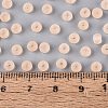 FGB Frosted Transparent Glass Seed Beads SEED-N013-02A-03-4