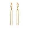 2 Pairs 201 Stainless Steel Leverback Earrings EJEW-JE06912-4