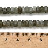 Natural Labradorite Beads Strands G-G317-A10-3x6mm-5