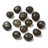 Natural Labradorite Beads G-O188-01-2