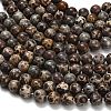 Natural Astroite Jasper Beads Strands G-H329-C02-10mm-4