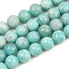 Natural Amazonite Beads Strands G-F461-12-10mm-01-2