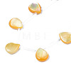 Natural Yellow Shell Beads Strands SSHEL-S278-117-3