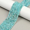 Natural Amazonite Beads Strands G-P572-B04-A-1