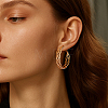 4 Pairs 2 Colors Iron Twist Hoop Earrings EJEW-HY0001-59-5