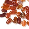 Natural Red Agate Beads Strands G-P604-A14-01-4