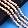 Natural Cultured Freshwater Pearl Beads Strands PEAR-N013-06D-2