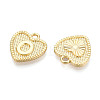Alloy Pendants PALLOY-N157-001O-NR-2