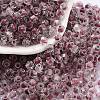 Glass Seed Beads SEED-A032-01H-1