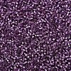 MIYUKI Delica Beads X-SEED-J020-DB2169-3